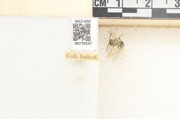 Media type: image;   Entomology 770237 Aspect: Labels